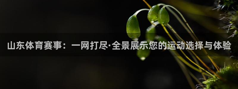 西瓜看球在线直播观看：山东体育赛事：一网打尽·全景展示您的运动选择与体验