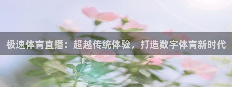 西瓜看球 直播：极速体育直播：超越传统体验，打造数字体育新时代