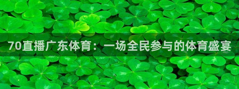 西瓜看球体育在线：70直播广东体育：一场全民参与的体育盛宴