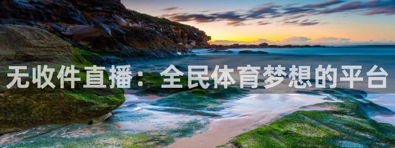西瓜看球app安卓版：无收件直播：全民体育梦想的平台
