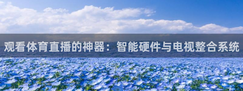 西瓜看球免费看nba：观看体育直播的神器：智能硬件与电视整合系统