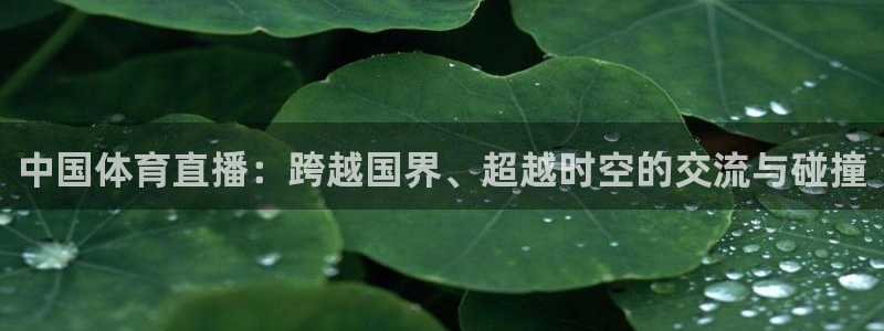 西瓜看球直播高清观看：中国体育直播：跨越国界、超越时空的交流与碰撞